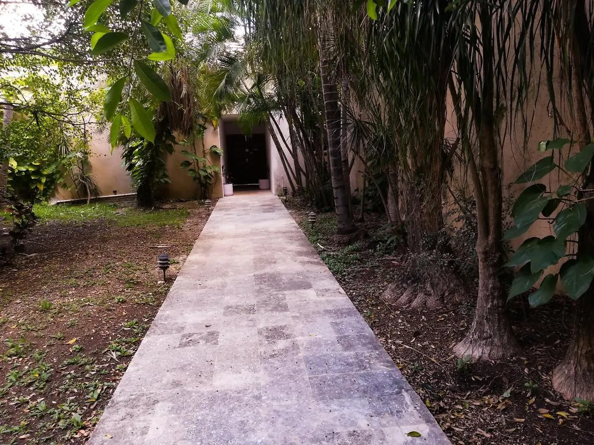 Casa Isabella Hotel Cozumel Guest house