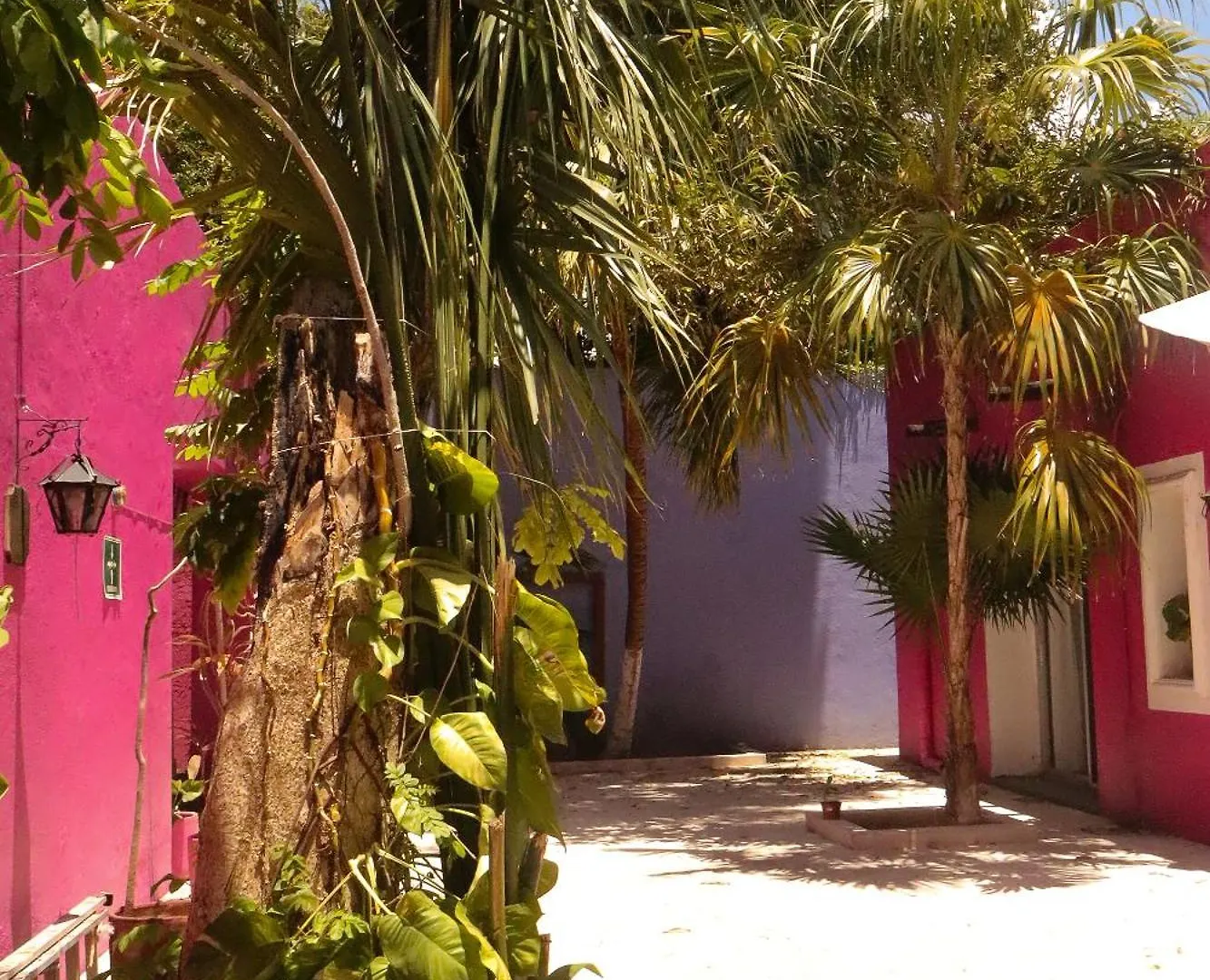 Casa Isabella Hotel Cozumel
