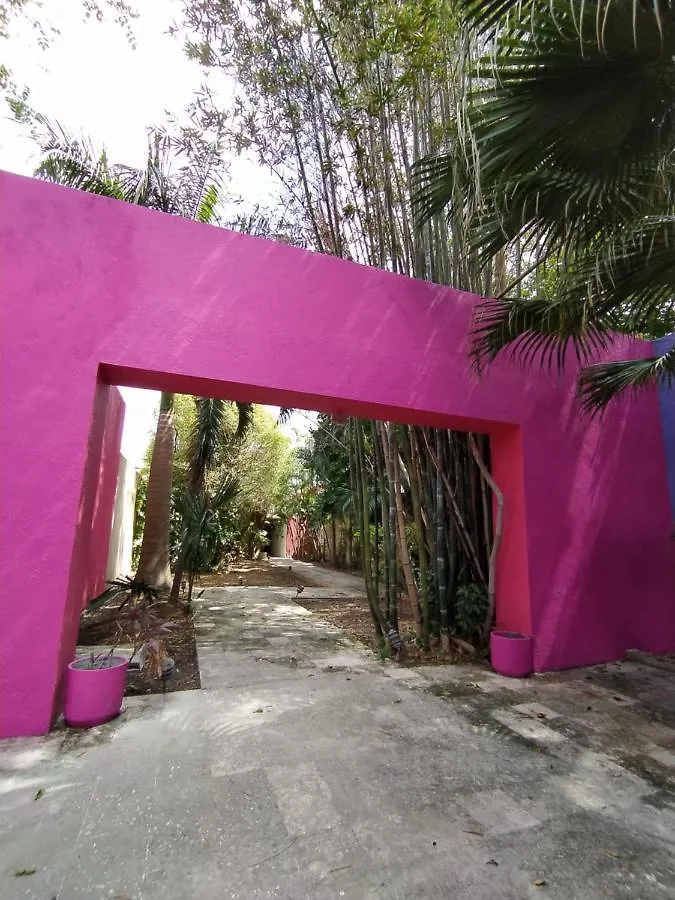 Casa Isabella Hotel Cozumel Guest house